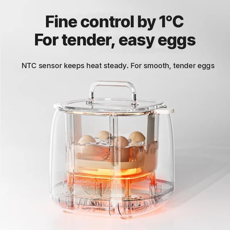 Fervedor elétrico de ovos 4-6 ovos com tigela para creme de ovos